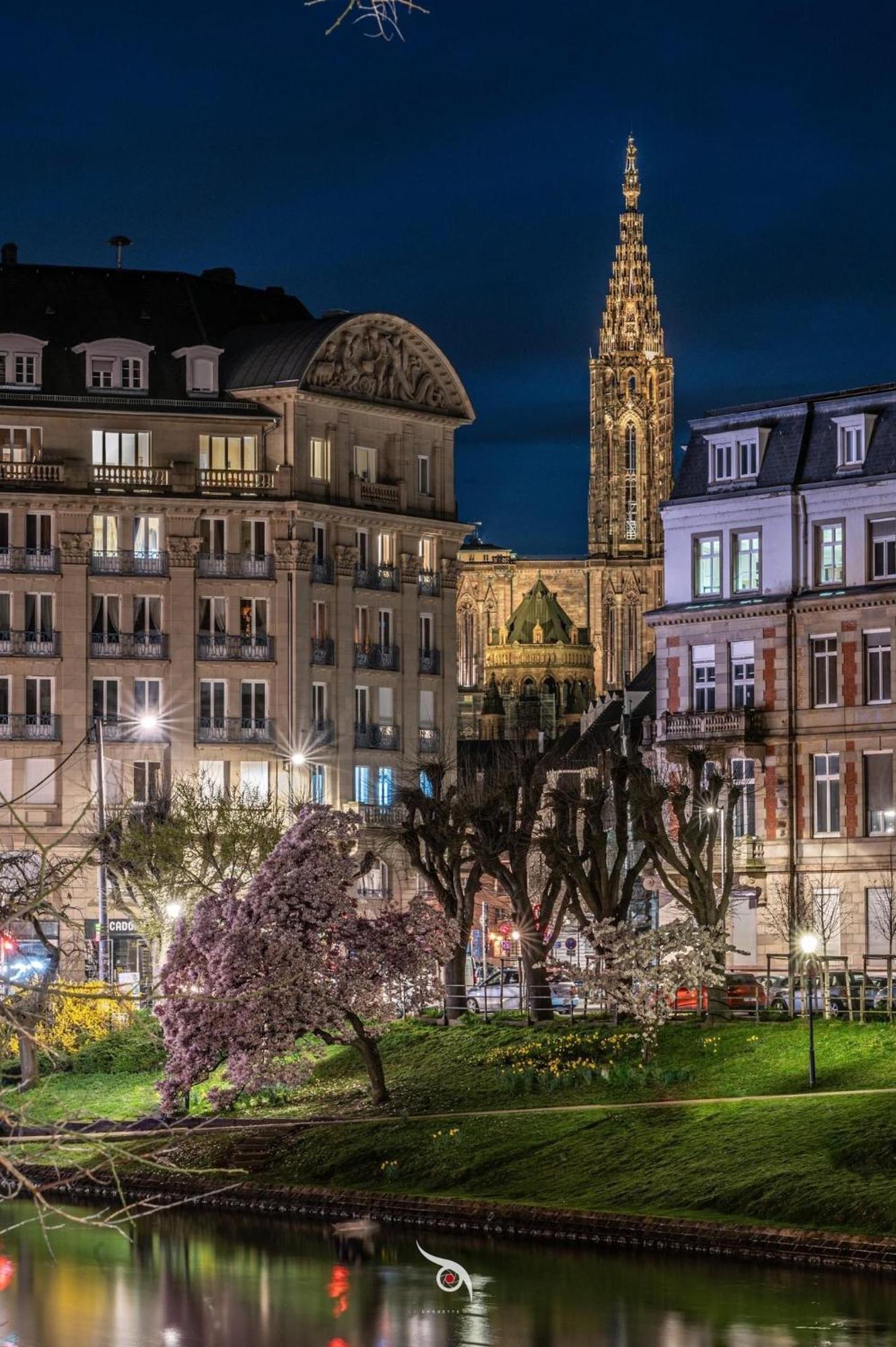 Appart & Studio Hyper Centre De Strasbourg - Proche Cathedrale & Petite France Eksteriør bilde